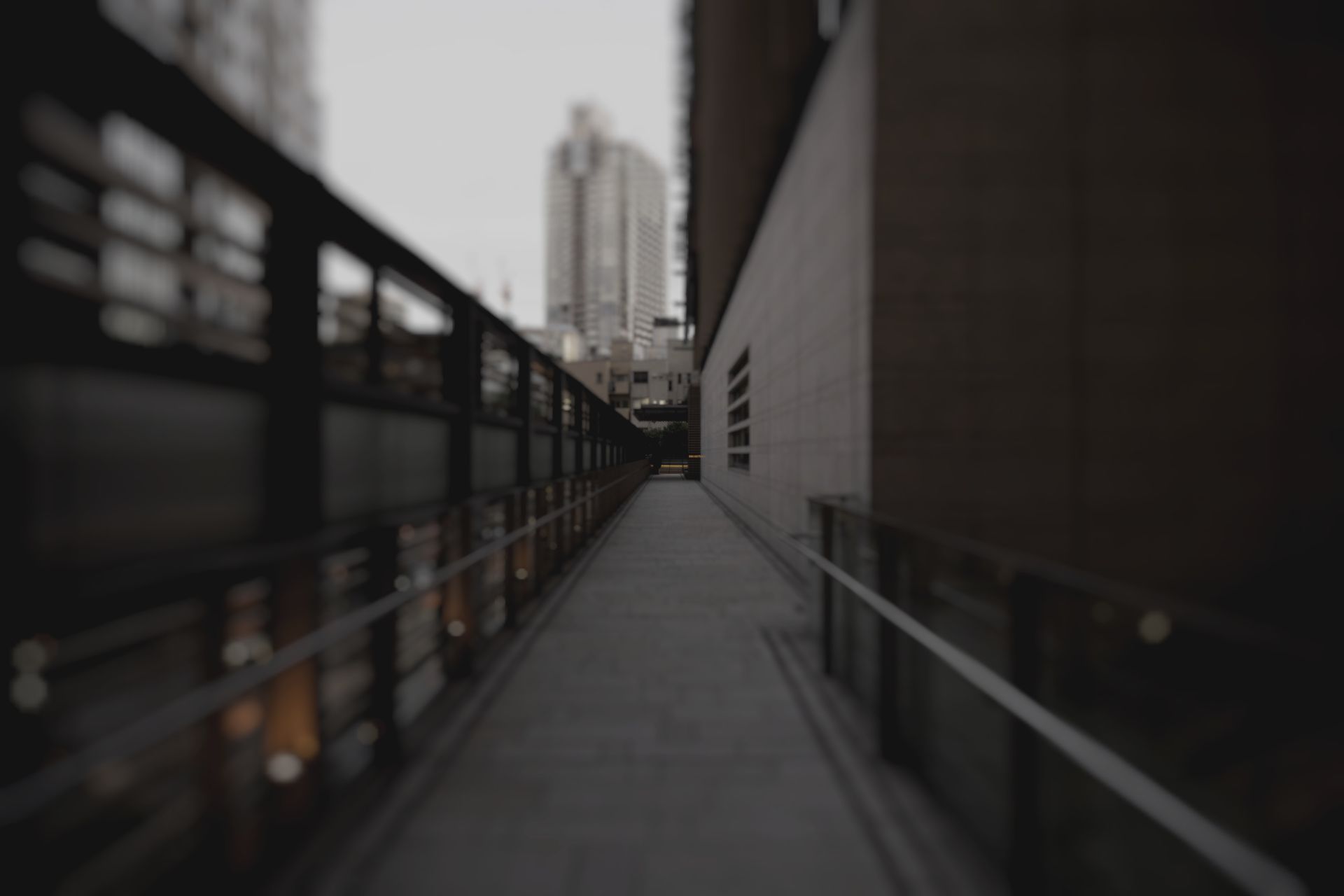 header_slider_img